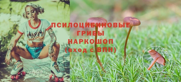 соль ск Новокубанск
