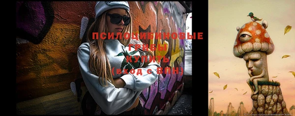 соль ск Новокубанск